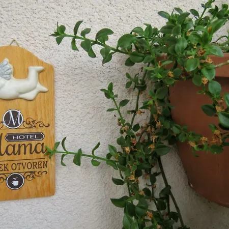 Mozara Bed & Breakfast Slano
